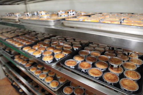 健康食品，用心經營 法浦芮食品科技新工廠正式開工生產